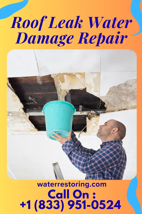 Roof Leak Water Damage Repair in Carlisle, IA