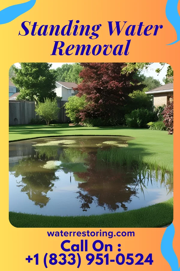 Standing Water Removal in Carlisle, IA